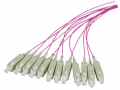 PIGTAIL PER FIBRA MULTIMODALE OM4, LUNGHEZZA 2m, CONNETTORE SC